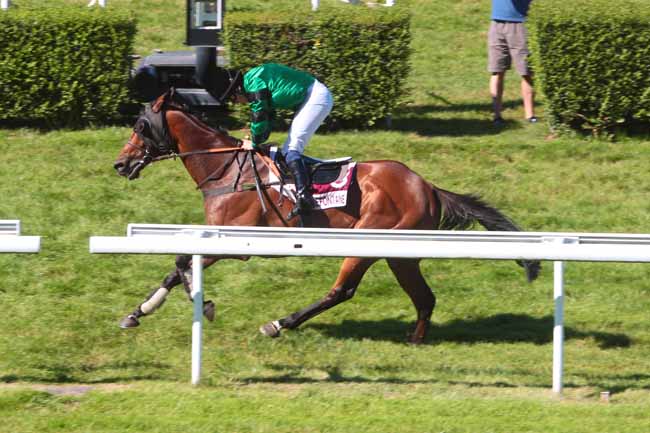 Photo d'arrivée de la course pmu PRIX DU VIEUX POIRIER à CLAIREFONTAINE le Samedi 6 août 2016