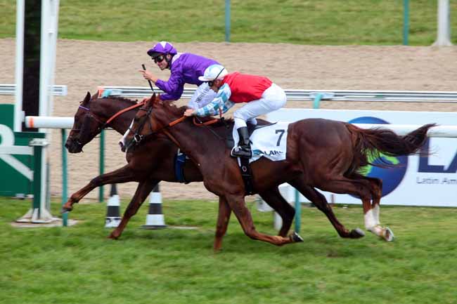Photo d'arrivée de la course pmu PRIX DU HARAS DON ALFREDO à DEAUVILLE le Dimanche 7 août 2016