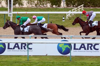 Photo d'arrivée de la course pmu PRIX DU HARAS LA QUEBRADA à DEAUVILLE le Dimanche 7 août 2016