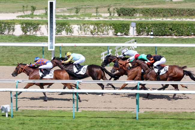 Photo d'arrivée de la course pmu PRIX DE LA FORET DU ROUVRAY à DEAUVILLE le Jeudi 11 août 2016