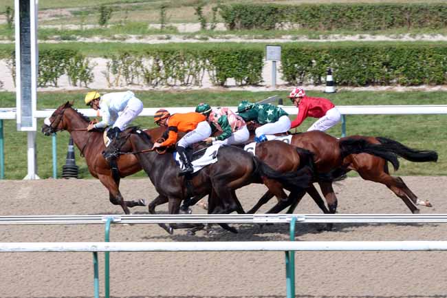 Photo d'arrivée de la course pmu PRIX DE LA FORET DE BORD à DEAUVILLE le Jeudi 11 août 2016
