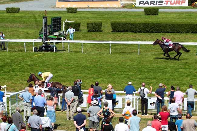 Photo d'arrivée de la course pmu PRIX DU CHEMIN DU TOCQ à CLAIREFONTAINE le Vendredi 12 août 2016