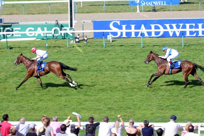 Photo d'arrivée de la course pmu SHADWELL PRIX DE POMONE à DEAUVILLE le Samedi 13 août 2016