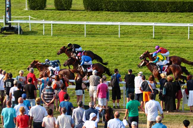 Photo d'arrivée de la course pmu PRIX DE FIERVILLE-LES-PARCS à CLAIREFONTAINE le Mercredi 17 août 2016
