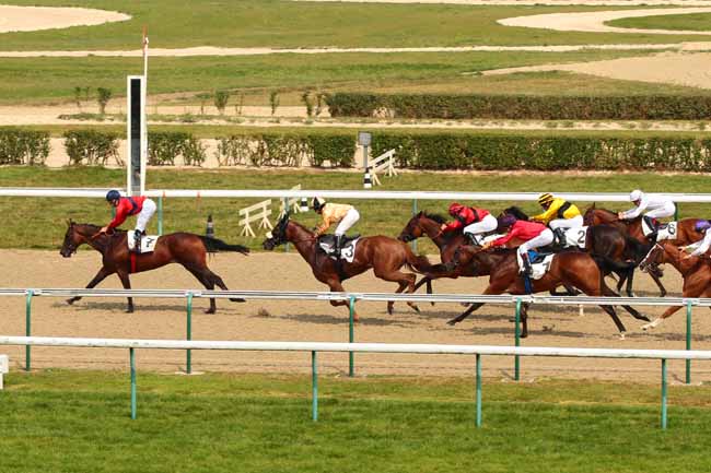 Photo d'arrivée de la course pmu PRIX DU HAMEL à DEAUVILLE le Jeudi 18 août 2016