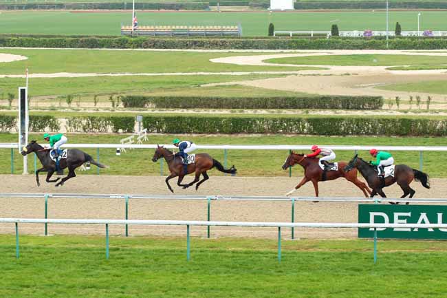 Photo d'arrivée de la course pmu PRIX DE COULONCES à DEAUVILLE le Jeudi 18 août 2016
