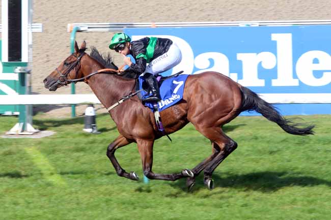 Photo d'arrivée de la course pmu DARLEY PRIX KERGORLAY à DEAUVILLE le Dimanche 21 août 2016