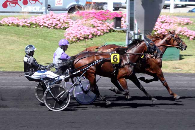 Photo d'arrivée de la course pmu PRIX PIERRE PLAZEN à PARIS-VINCENNES le Lundi 22 août 2016