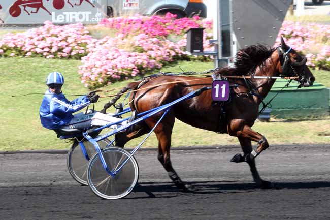 Photo d'arrivée de la course pmu PRIX DE DOLE à PARIS-VINCENNES le Lundi 22 août 2016