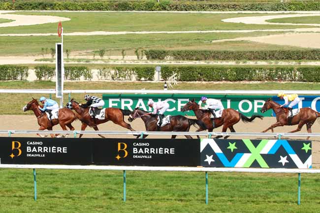Photo d'arrivée de la course pmu PRIX D'HUDIMESNIL à DEAUVILLE le Samedi 27 août 2016