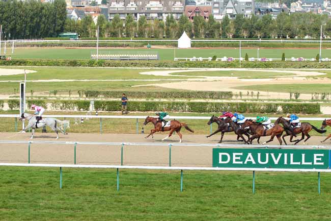 Photo d'arrivée de la course pmu PRIX DU MESNIL OGER à DEAUVILLE le Lundi 29 août 2016