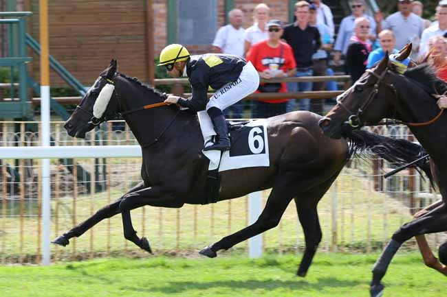 Photo d'arrivée de la course pmu PRIX DES CHARMES à FONTAINEBLEAU le Vendredi 2 septembre 2016