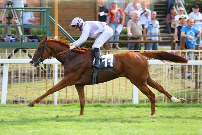 Photo d'arrivée de la course pmu PRIX DE MEAUX à FONTAINEBLEAU le Vendredi 2 septembre 2016