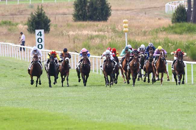 Photo d'arrivée de la course pmu PRIX DES SENTIERS DENECOURT à FONTAINEBLEAU le Vendredi 2 septembre 2016