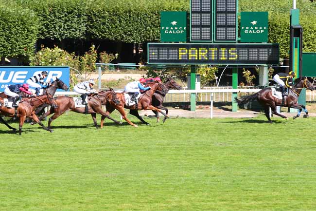 Photo d'arrivée de la course pmu PRIX CHUCHOTEUR à SAINT-CLOUD le Vendredi 9 septembre 2016