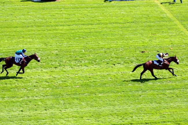 Photo d'arrivée de la course pmu PRIX FINOT (PELOTON B) à AUTEUIL le Vendredi 9 septembre 2016