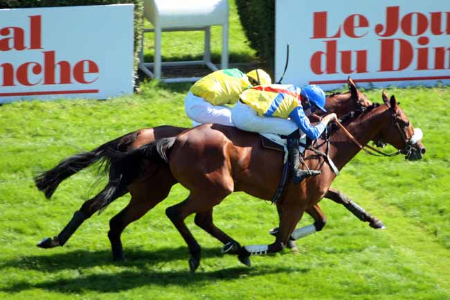 Photo d'arrivée de la course pmu PRIX RICHARD ET ROBERT HENNESSY - JOURNAL DU DIMANCHE à AUTEUIL le Vendredi 9 septembre 2016