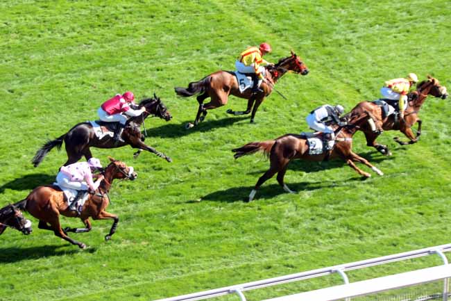 Photo d'arrivée de la course pmu PRIX PIERRE CYPRES à AUTEUIL le Vendredi 9 septembre 2016