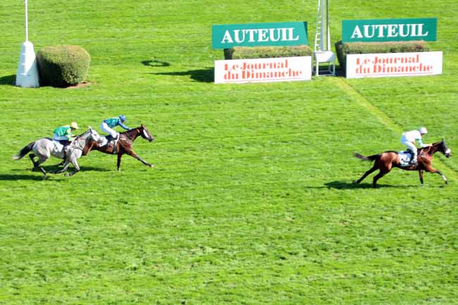 Photo d'arrivée de la course pmu PRIX GELAS à AUTEUIL le Vendredi 9 septembre 2016