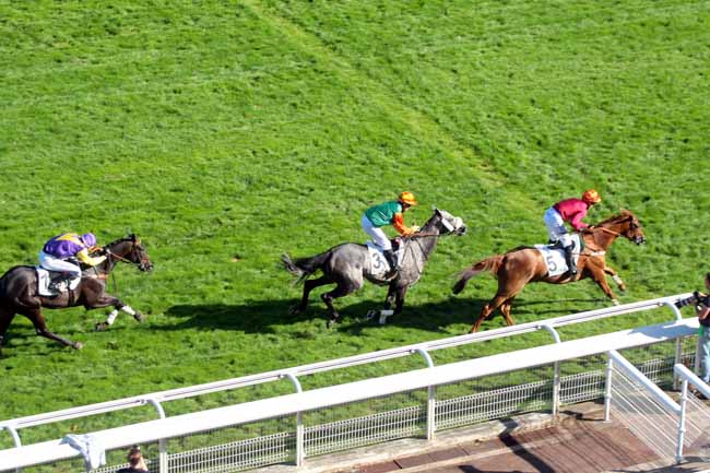 Photo d'arrivée de la course pmu PRIX JEAN BART à AUTEUIL le Vendredi 9 septembre 2016