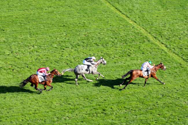 Photo d'arrivée de la course pmu PRIX CADOUDAL à AUTEUIL le Vendredi 9 septembre 2016