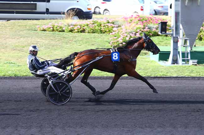 Photo d'arrivée de la course pmu PRIX EMILE WENDLING à PARIS-VINCENNES le Samedi 10 septembre 2016