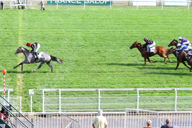 Photo d'arrivée de la course pmu PRIX ALLEE D'AMOUR à MAISONS-LAFFITTE le Lundi 12 septembre 2016