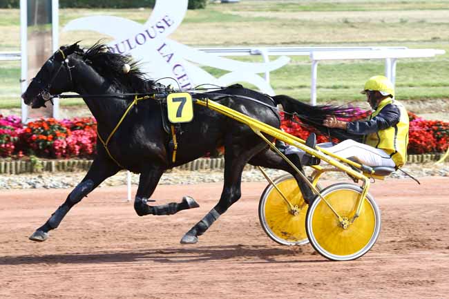 Photo d'arrivée de la course pmu PRIX DE LARDENNE - PRIX GENYCOURSES à TOULOUSE le Mardi 13 septembre 2016