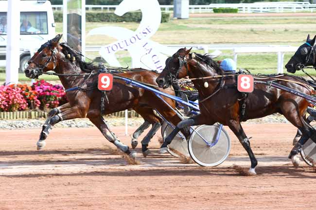 Photo d'arrivée de la course pmu PRIX LA DEPECHE DU MIDI à TOULOUSE le Mardi 13 septembre 2016