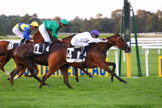 Photo d'arrivée de la course pmu PRIX DE CHATEAU LANDON à FONTAINEBLEAU le Mardi 13 septembre 2016
