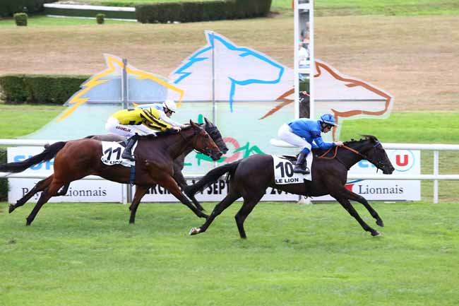 Photo d'arrivée de la course pmu PRIX DE CHATEAUNEUF-SUR-SARTHE à LE LION D'ANGERS le Mercredi 14 septembre 2016