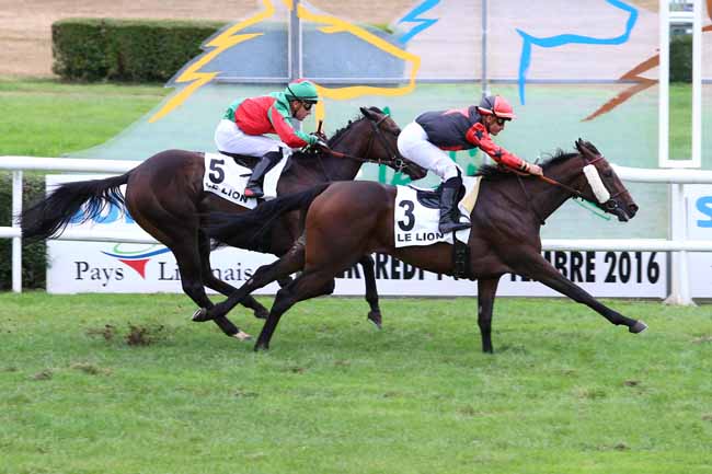 Photo d'arrivée de la course pmu PRIX HARAS DE LA BARBOTIERE à LE LION D'ANGERS le Mercredi 14 septembre 2016