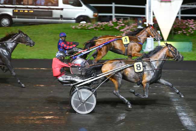 Photo d'arrivée de la course pmu PRIX GALATHEA à PARIS-VINCENNES le Vendredi 16 septembre 2016