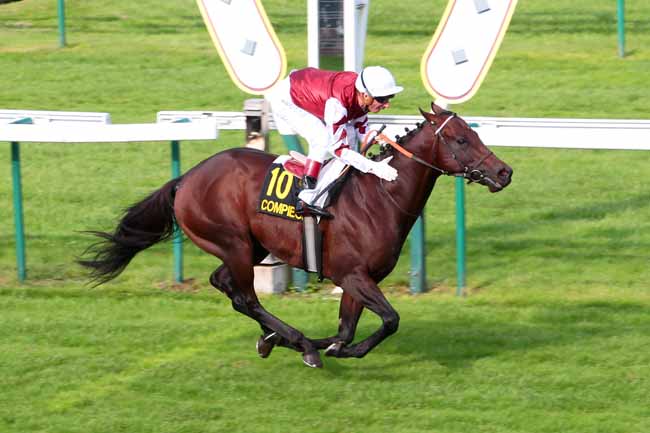 Photo d'arrivée de la course pmu PRIX DES HAMADRYADES à COMPIEGNE le Dimanche 18 septembre 2016