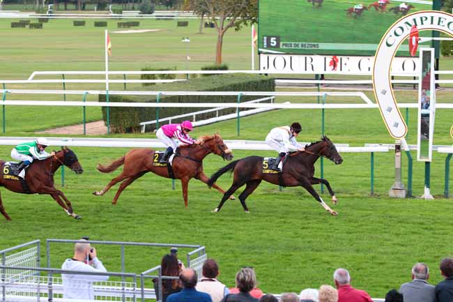 Photo d'arrivée de la course pmu PRIX DE BEZONS à COMPIEGNE le Dimanche 18 septembre 2016