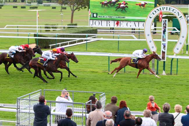 Photo d'arrivée de la course pmu PRIX DE LA FORET D'OURSCAMP à COMPIEGNE le Dimanche 18 septembre 2016