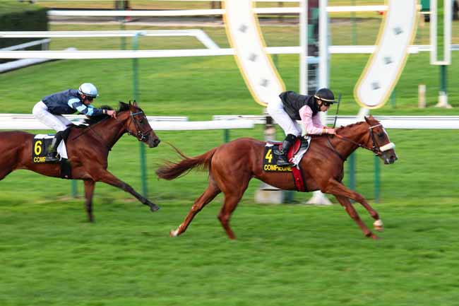 Photo d'arrivée de la course pmu PRIX DE CAISNES à COMPIEGNE le Dimanche 18 septembre 2016
