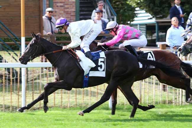 Photo d'arrivée de la course pmu PRIX DU LONG ROCHER à FONTAINEBLEAU le Mardi 20 septembre 2016