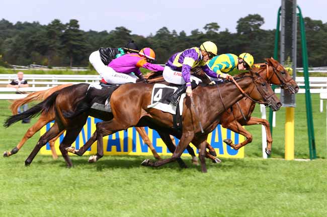 Photo d'arrivée de la course pmu PRIX DES ORMES à FONTAINEBLEAU le Mardi 20 septembre 2016