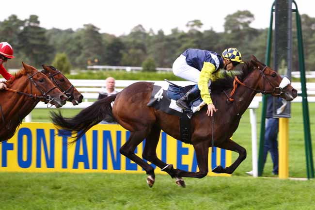Photo d'arrivée de la course pmu PRIX DES CHEVREUILS à FONTAINEBLEAU le Mardi 20 septembre 2016