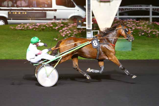 Photo d'arrivée de la course pmu PRIX AMPHITRITE à PARIS-VINCENNES le Mardi 20 septembre 2016