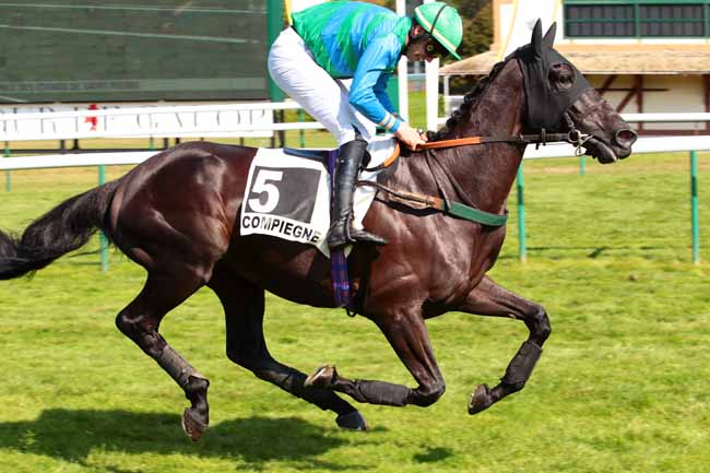 Photo d'arrivée de la course pmu PRIX DES ETANGS DE SAINT-PIERRE à COMPIEGNE le Mercredi 21 septembre 2016