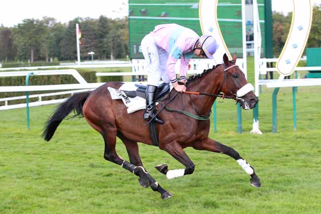 Photo d'arrivée de la course pmu PRIX DE PAU à COMPIEGNE le Mercredi 21 septembre 2016