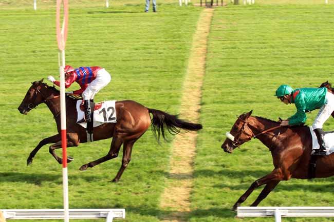 Photo d'arrivée de la course pmu PRIX BERTRAND DE TARRAGON à MAISONS-LAFFITTE le Mercredi 21 septembre 2016