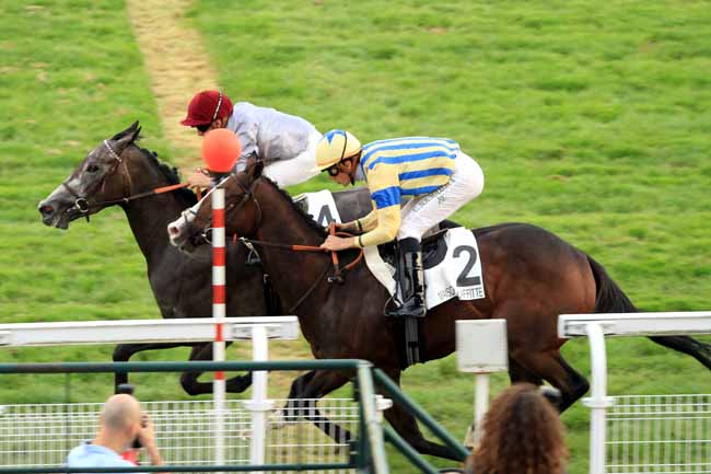 Photo d'arrivée de la course pmu PRIX SILNET à MAISONS-LAFFITTE le Mercredi 21 septembre 2016