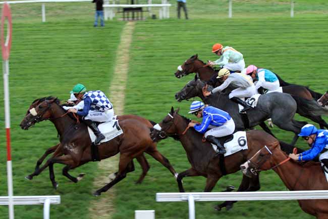 Photo d'arrivée de la course pmu PRIX HAUBAN à MAISONS-LAFFITTE le Mercredi 21 septembre 2016