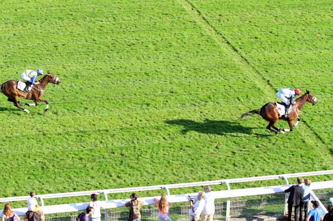 Photo d'arrivée de la course pmu PRIX DE MAISONS-LAFFITTE à AUTEUIL le Samedi 24 septembre 2016