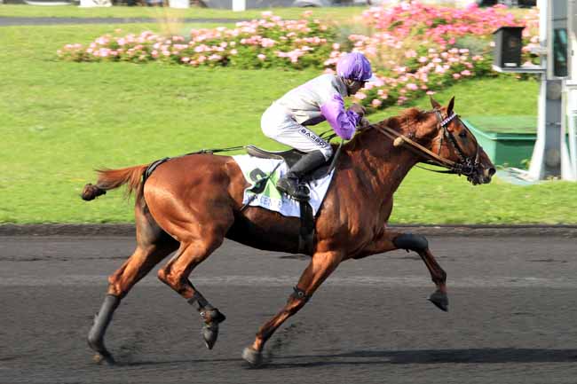 Photo d'arrivée de la course pmu PRIX DES ELITES à PARIS-VINCENNES le Dimanche 25 septembre 2016
