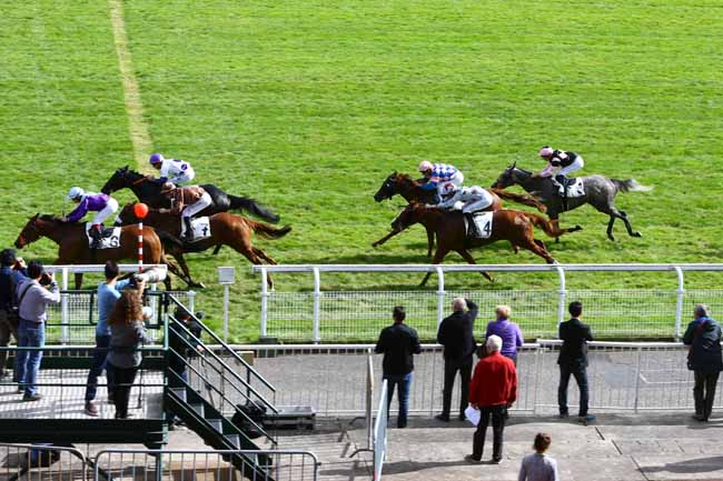 Photo d'arrivée de la course pmu PRIX D'AINCOURT à MAISONS-LAFFITTE le Lundi 26 septembre 2016