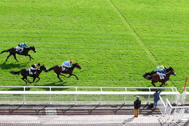 Photo d'arrivée de la course pmu PRIX DE NANTES à AUTEUIL le Mercredi 28 septembre 2016